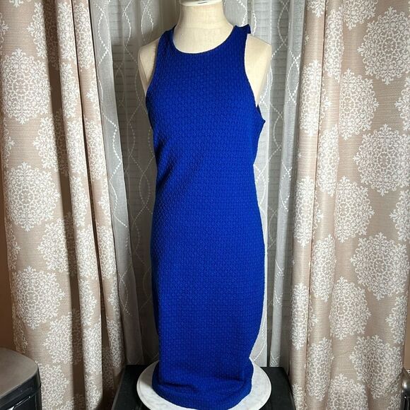 Forever 21 Blue Dress size large - Picture 1 of 7